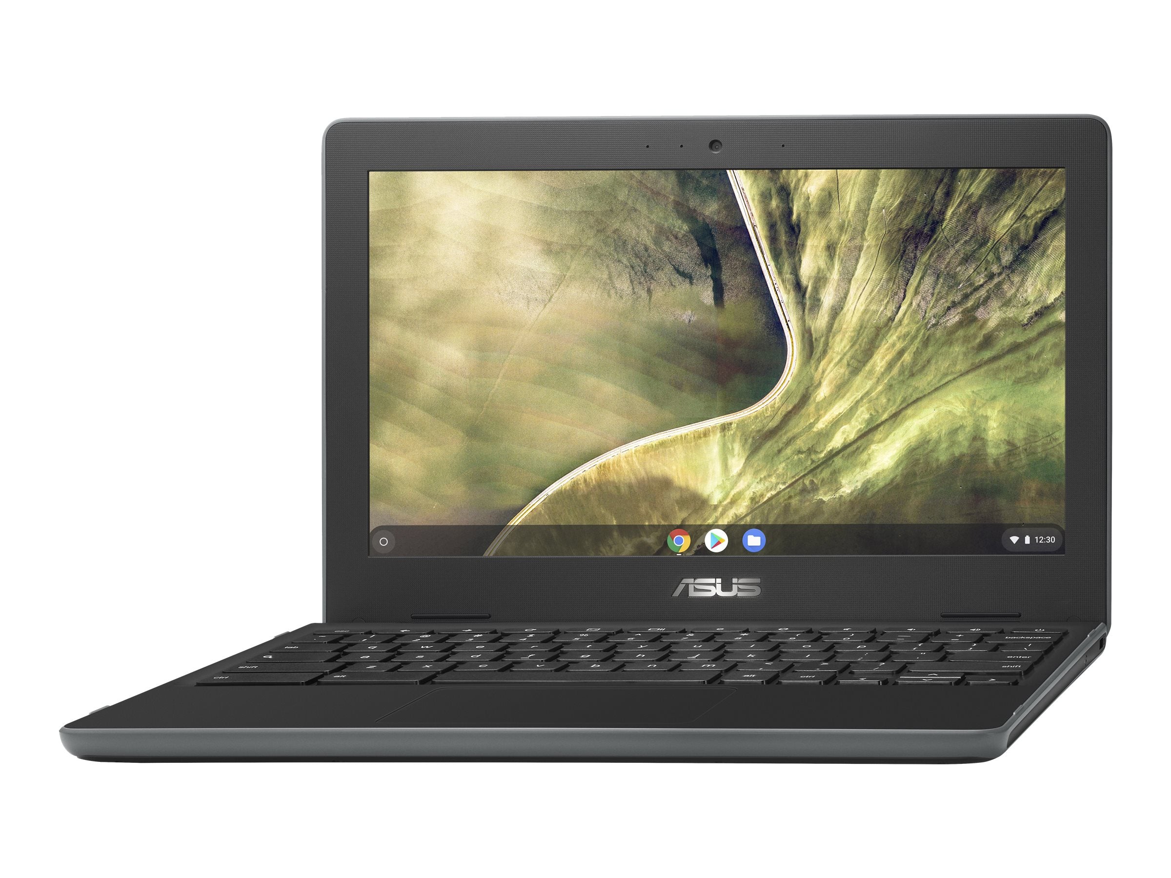 Asus Chromebook C204EE 11.6" Laptop - Intel Celeron N4000 1.1 GHz - 4GB - 16GB eMMC