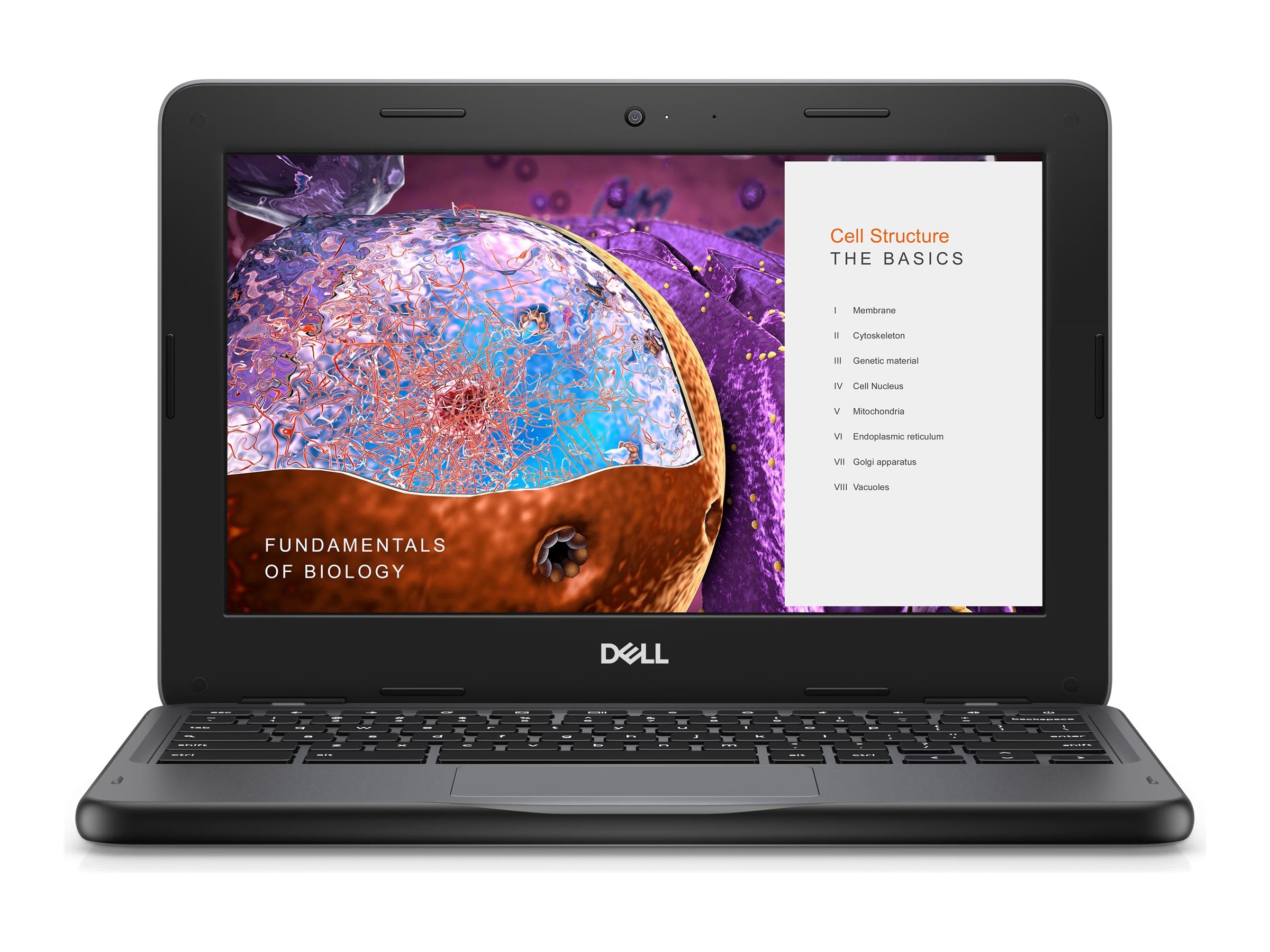 Dell Chromebook 3110 11.6" - Intel Celeron N4500 1.1 GHz - 4GB RAM - 32GB eMMC