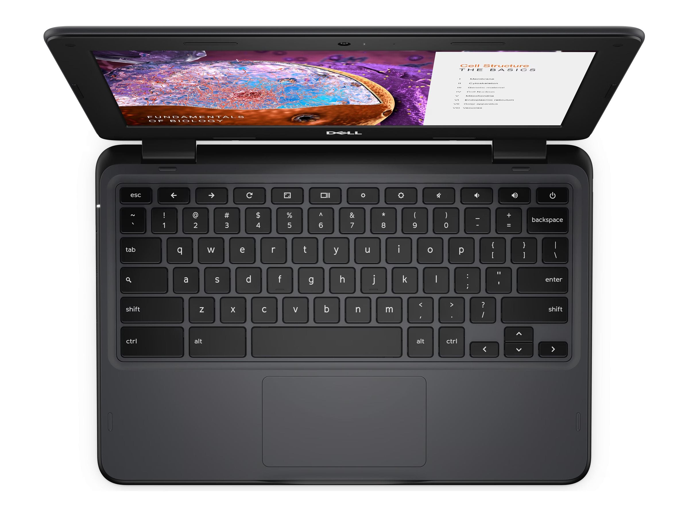 Dell Chromebook 3110 11.6" - Intel Celeron N4500 1.1 GHz - 4GB RAM - 32GB eMMC